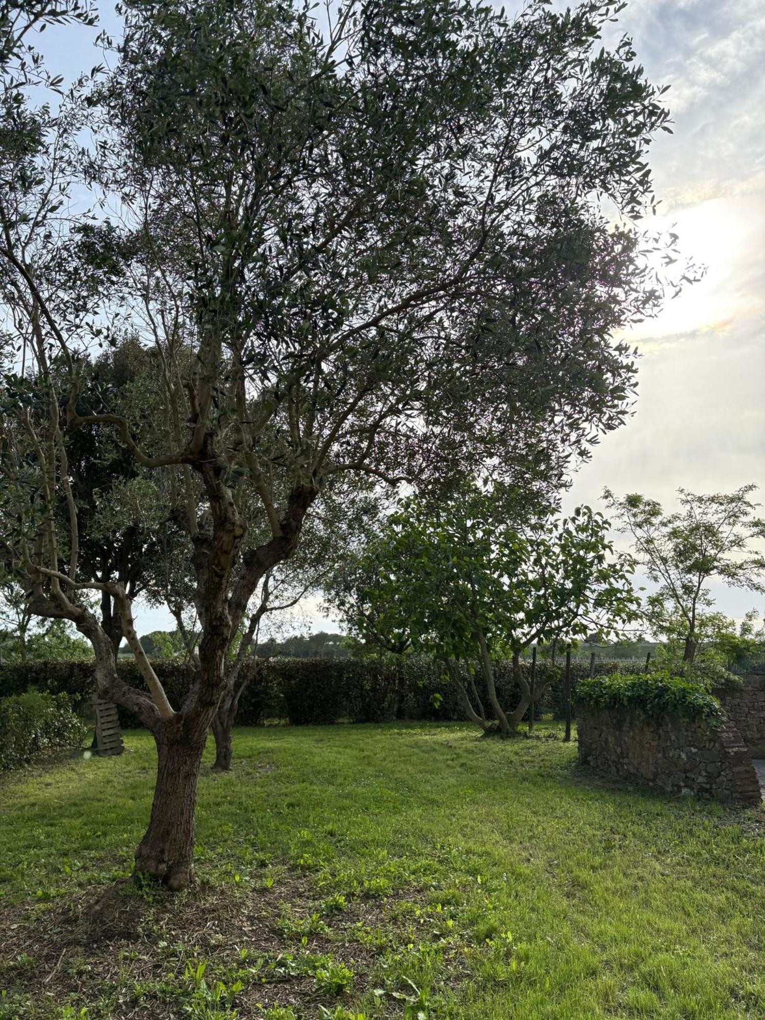Apartment Rustico Sant'emilio