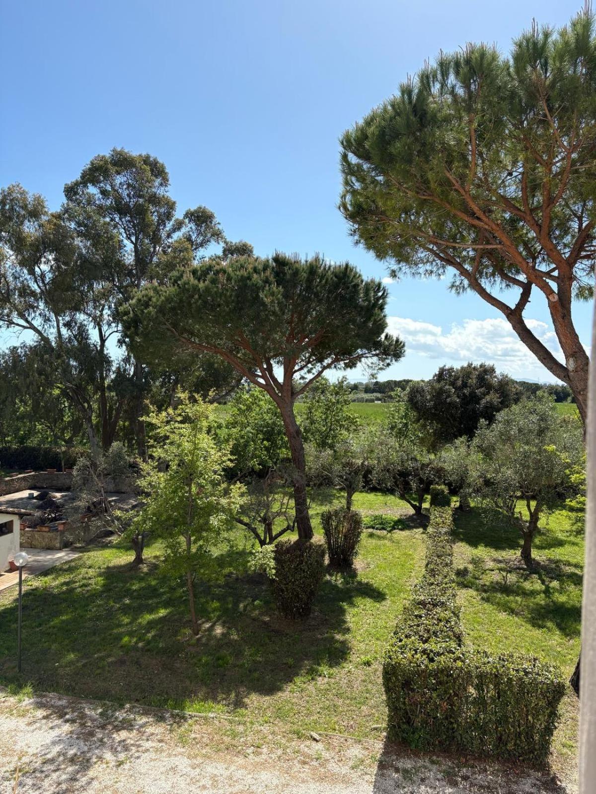 Apartment Rustico Sant'emilio Riotorto
